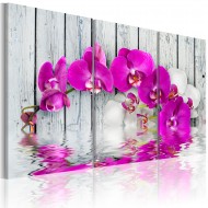 Tableau  harmony orchid  Triptych