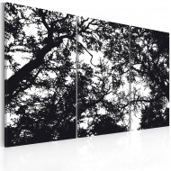 Tableau  Forêt dense