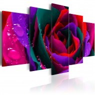 Tableau  Multicoloured rose