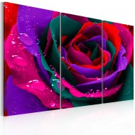 Tableau  Rose irisée