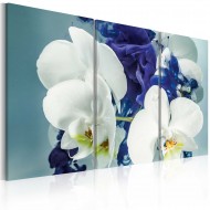 Tableau  Orchidées chimériques