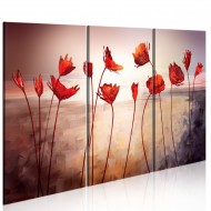 Tableau  Bright red poppies