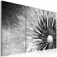 Tableau  pissenlit (noir et blanc)