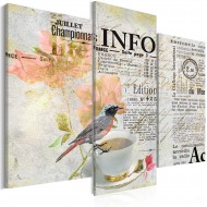 Tableau  Morning newspaper