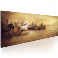 Tableau  City of stallions