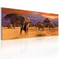 Tableau  March of african elephants