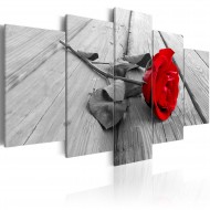 Tableau  Rose sur bois