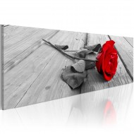 Tableau  Carmine rose