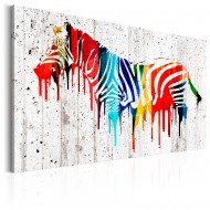 Tableau  Zèbre colorée