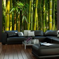 Papier peint  Forêt de bambous asiatique