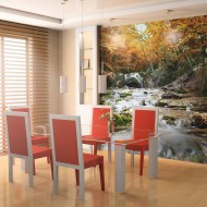 Papier peint  automne  chute deau