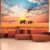 Papier peint  Éléphants de savane dAfrique