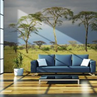 Papier peint  Savanna trees