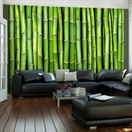 Papier peint  Mur vert bambou