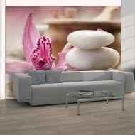 Papier peint  Zen et Spa