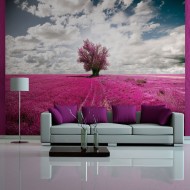 Papier peint  Prairie couleur fuschia