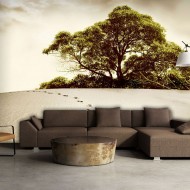 Papier peint  Arbre dans le désert