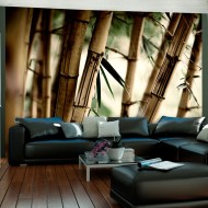 Papier peint  Fog and bamboo forest