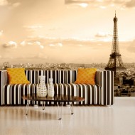 Papier peint  Paris  panorama