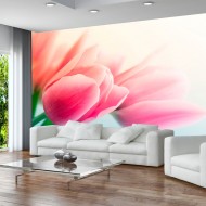 Papier peint  Printemps et tulipes