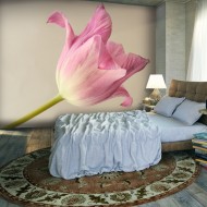 Papier peint  Pink tulip