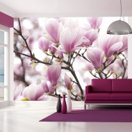Papier peint  Branche de magnolia en fleurs