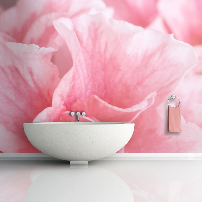 Téléchargement gratuit Images Papier Peint Fleurs Roses De L Azalee Beaux Meubles Pas Chers le plus cool par