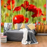 Papier peint  Coquelicots dans le champ de blé