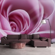 Papier peint  Rose rose