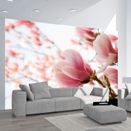 Papier peint  Magnolia rose