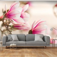 Papier peint  Branch of magnolia tree