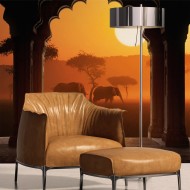 Papier peint  Hear Africa