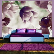 Papier peint  Heavenly tulips