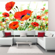 Papier peint  Country poppies