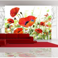 Papier peint  Country poppies
