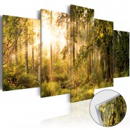 Tableau sur verre acrylique  Magic of Forest [Glass]
