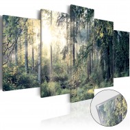 Tableau sur verre acrylique  Fairytale Landscape [Glass]