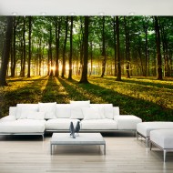 Papier peint XXL  Mystical Morning II
