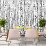 Papier peint  Birch forest