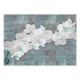 Papier peint  Orchids with pearls