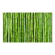Papier peint  Mur vert bambou