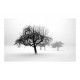 Papier peint  hiver  arbres