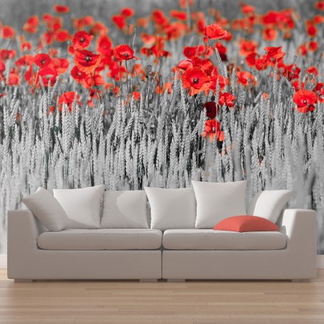 Papier peint  Coquelicots rouge sur champ noir et blanc