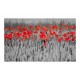 Papier peint  Coquelicots rouge sur champ noir et blanc