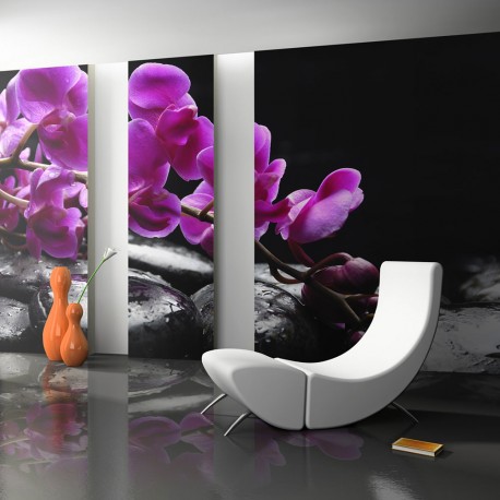 Papier peint  Moment de détente  orchidée et pierres zen