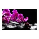 Papier peint  Moment de détente  orchidée et pierres zen