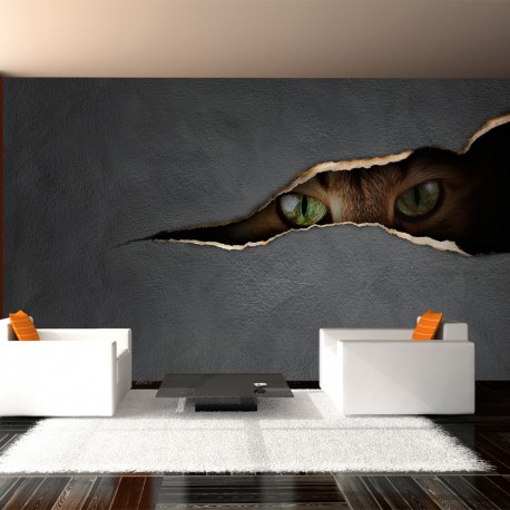 Papier peint  Regard du chat