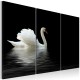 Tableau  Cygne seul
