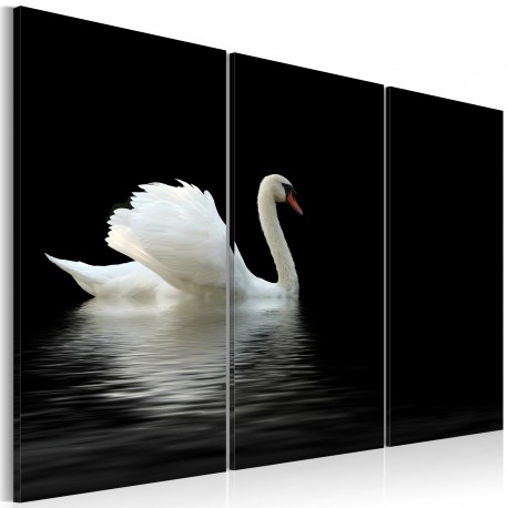 Tableau  Cygne seul