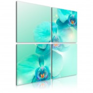 Tableau  Orchidées dazur